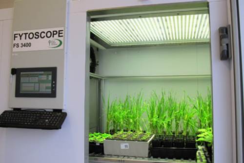 FytoScope FS-SI大型植物生长室