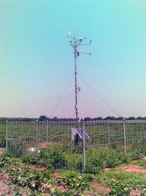 DL2e波文比测量系统应用在国际农业高新技术产业园进行能量平衡研究